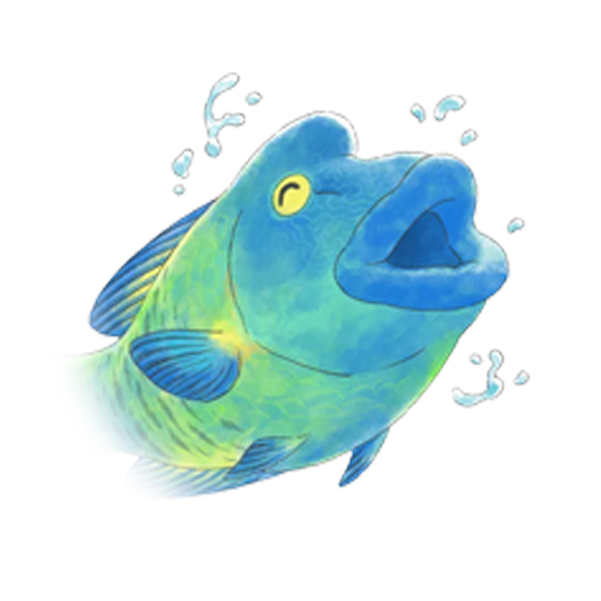 ナポレオンフィッシュ