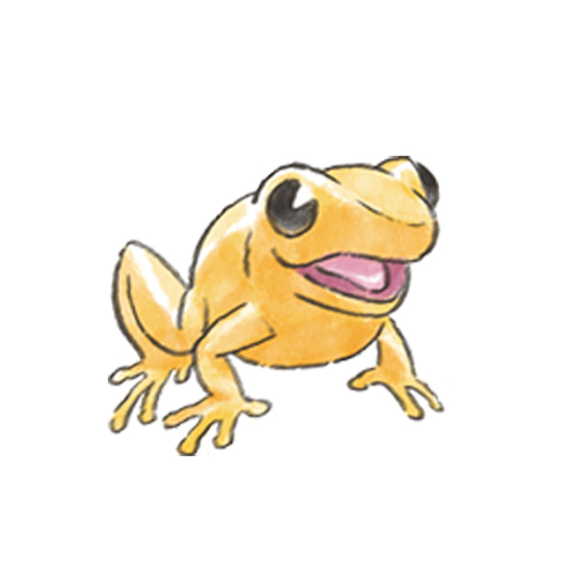 キンイロアデガエル