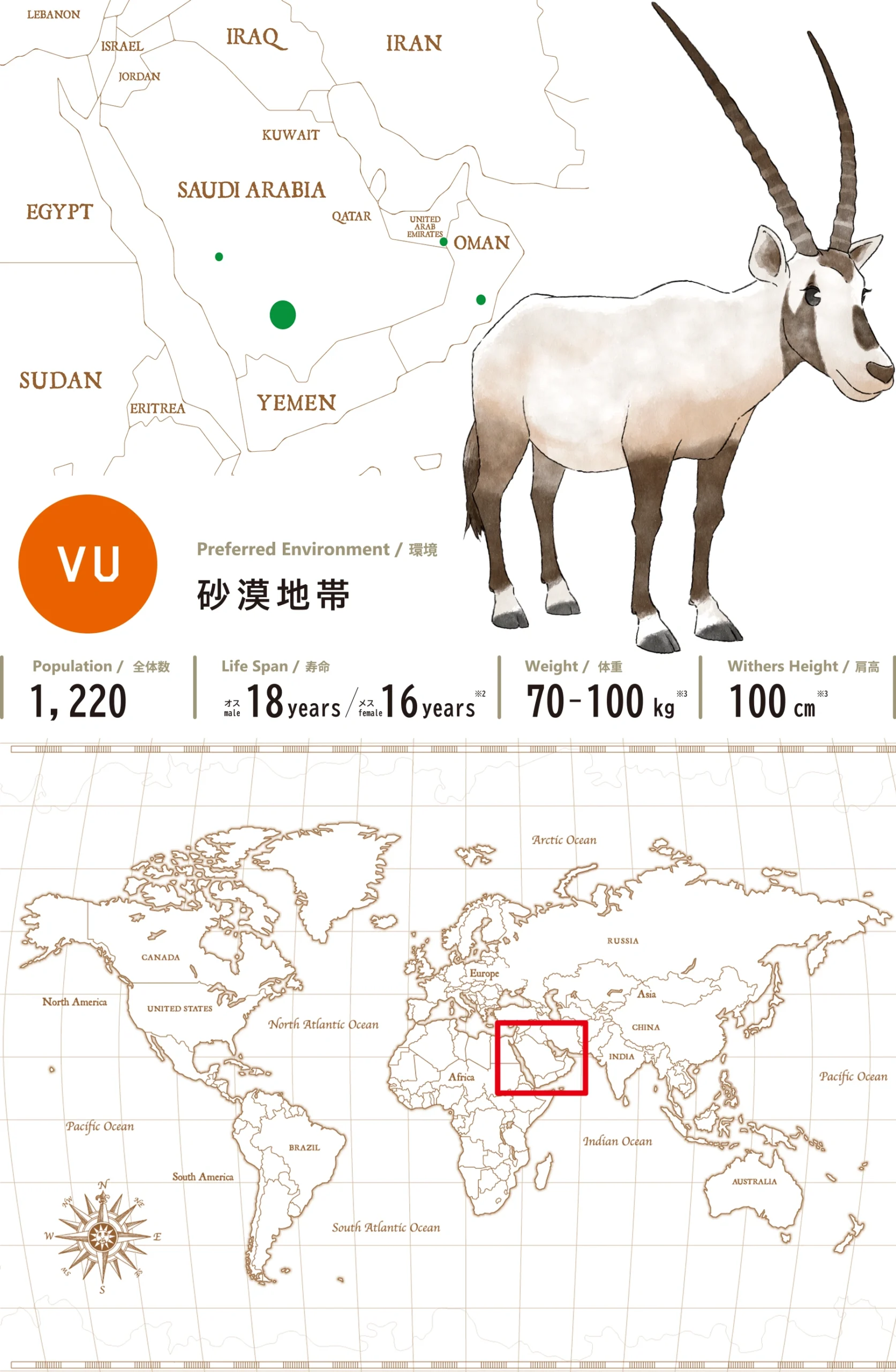 アラビアオリックスArabian Oryx