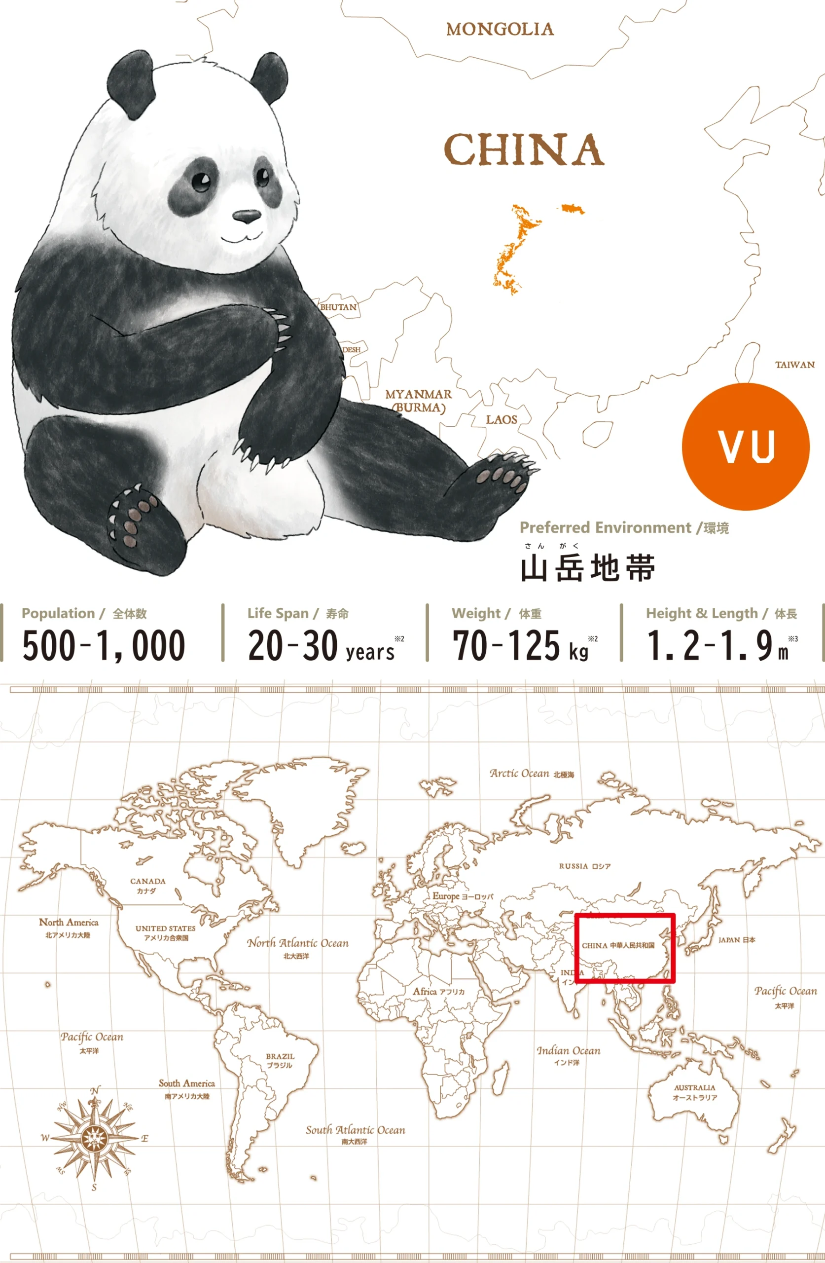ジャイアントパンダGiant Panda