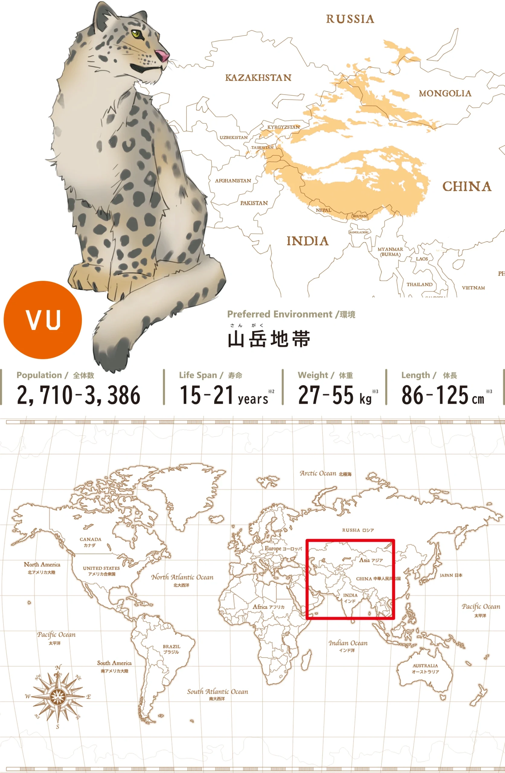 ユキヒョウSnow Leopard