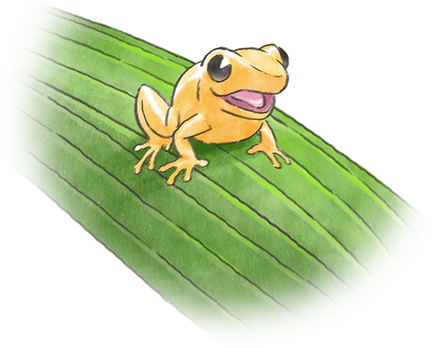 カエル