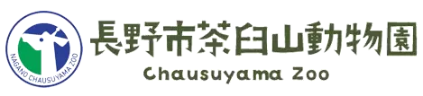 長野市茶臼山動物園
